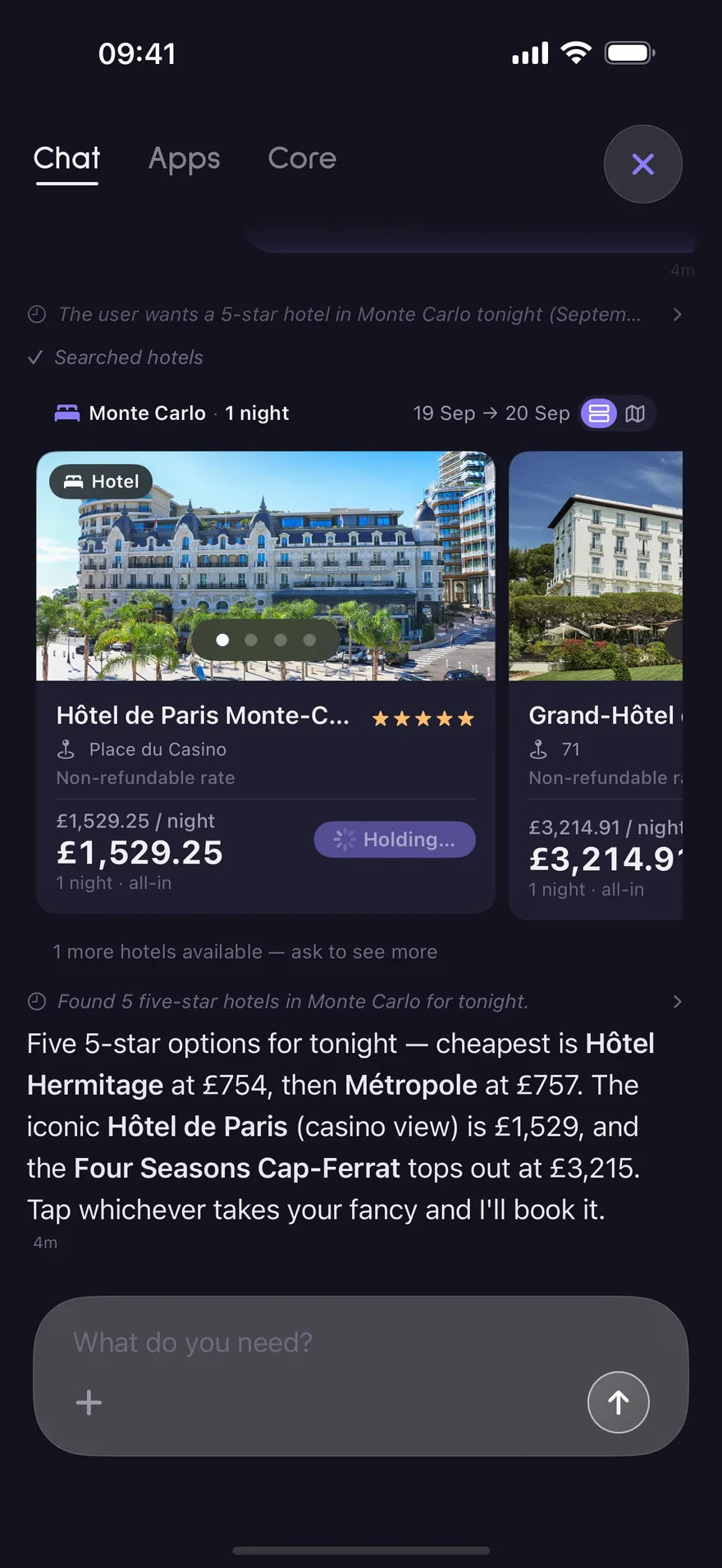osmos holding a room at the Hôtel de Paris while you confirm